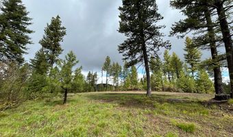 27 Sawtooth Loop Lot 23, Cascade, ID 83611