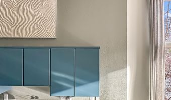 1050 Waters Ave 9, Aspen, CO 81611