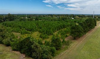 20 Ac State Hwy 95 Columbia Rd, Abbeville, AL 36310
