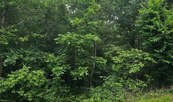 Lock 3 Road, Batesville, AR 72501
