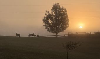 360 Rainbow Ln, Asbury, WV 24916