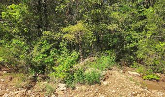Strawberry Valley Road, Ash Flat, AR 72513