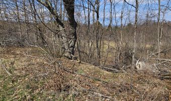 295 Shellstone Rd, Amsterdam, NY 12010