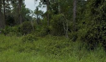 2018 Leroy Ave, Alva, FL 33920