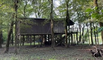 00 Duncan Bend Trl, Bald Knob, AR 72006