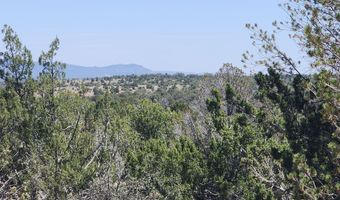Ranch And Cattle lot 13, Ash Fork, AZ 86320