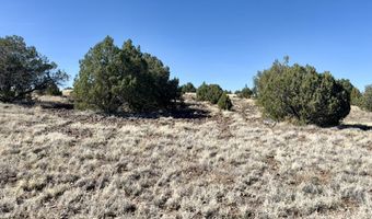 W Rawhide Ranch Road lot 46, Ash Fork, AZ 86320