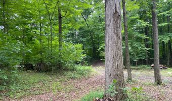 14900 Woodbridge Rd, Camden, MI 49232