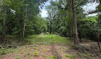 Tbd NW 67TH BOULEVARD, Alachua, FL 32615