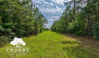 0 Hadden Pond Rd, Avera, GA 30803