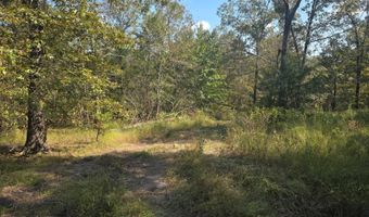 S80 Helt Rd, Antlers, OK 74525