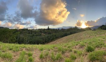 HAUIKI RD, Kapaa, HI 96746