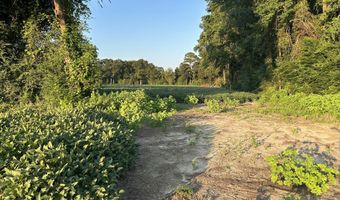 00 Nc N 903, Albertson, NC 28508