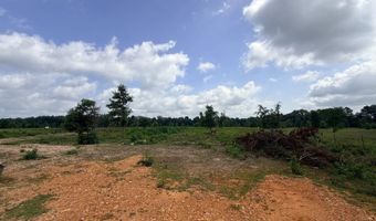 138 Little River 183, Ashdown, AR 71822