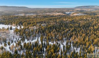 4523 S Elk Loop Rd, Ashton, ID 83420