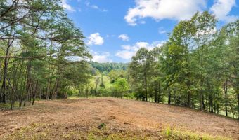 477 GIDSVILLE Rd, Amherst, VA 24521