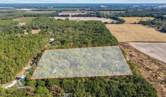 6389 6th Pl, Bell, FL 32619