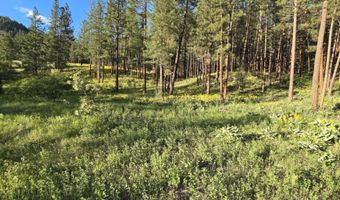 Nhn Profile Rock, Alberton, MT 59820