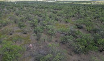 Tbd TBA CR 100, Abilene, TX 79601