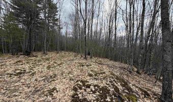 38 F Lang Rd, Bath, NH 03740