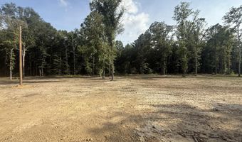2038 SW Ceasar Trl, Bogue Chitto, MS 39629