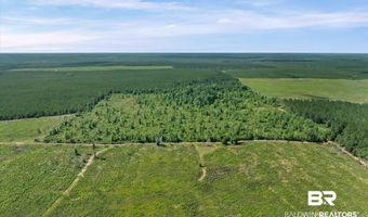 Green Town Road, Bay Minette, AL 36507
