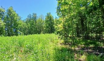 0000000 Easement, Annapolis, MO 63620