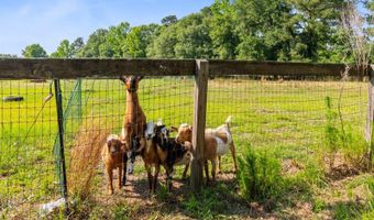 481 Cantey Ln, Camden, SC 29020