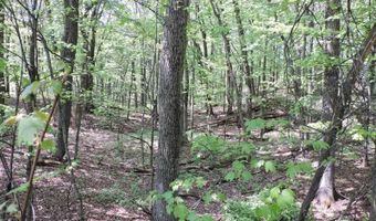 4781 TURKEY TRAIL Lot # 19 Woodland Hts, Amherst, WI 54406