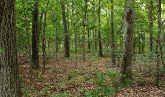 3899 County Road 304, Alton, MO 65606