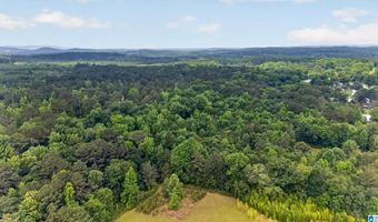 930 ANNISTON BEACH Rd Lot 0, Anniston, AL 36206