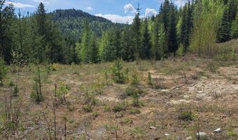 Nka Otter Lane, Bonners Ferry, ID 83805