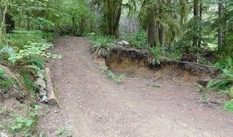 10286 RIDGE VIEW Ter, Birkenfeld, OR 97016