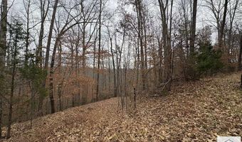 Pine Valley Dr, Bassett, VA 24055