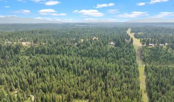 NKA E Forest View Rd, Athol, ID 83801