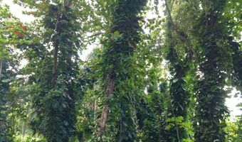 CR KUHIO HWY/ALAMIHI RD, Hanalei, HI 96714