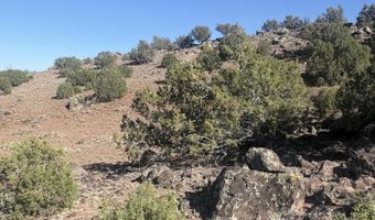 478 N8521, Concho, AZ 85924