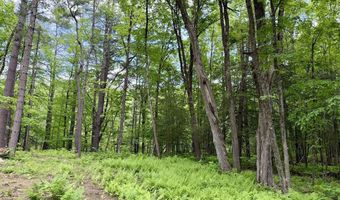 Great Hollow Road, Cornwall, CT 06753