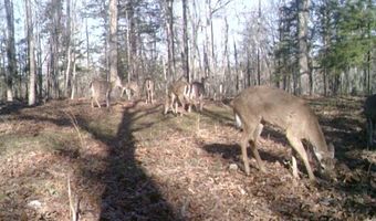 17585 Co Rd #Af-304, Ava, MO 65608