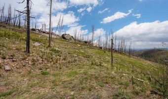 30 Sheep Horn Ct, Bellvue, CO 80512