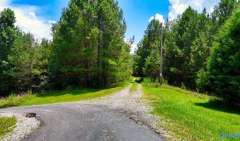 Arley Lndg, Arley, AL 35541