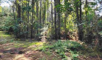 0 Lowery Rd Lot #11, Atmore, AL 36502