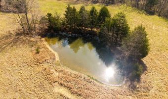 1079 Ff Hwy, Alton, MO 65606