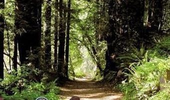 634 Townsend Dr, Aptos, CA 95003
