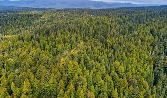 E 16th Street, Arcata, CA 95521