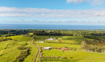 29-609 CHIN CHUCK Rd, Hakalau, HI 96710