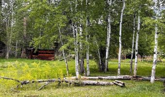 504 Carmen Creek Rd, Carmen, ID 83462
