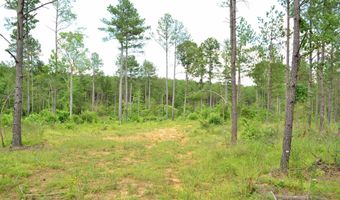 Lot 3 TBA MELITA RD 3, Arvonia, VA 23004