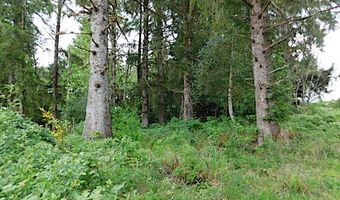 Knappa Dock RD, Astoria, OR 97103
