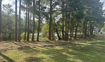 585 Creek Place Rd, Arapahoe, NC 28510